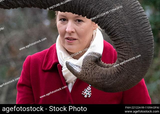 24 December 2022, Berlin: Franziska Giffey (SPD), Berlin's governing mayor, feeds an elephant at the zoo. The Berlin Zoo reopened its doors on Christmas Eve for...