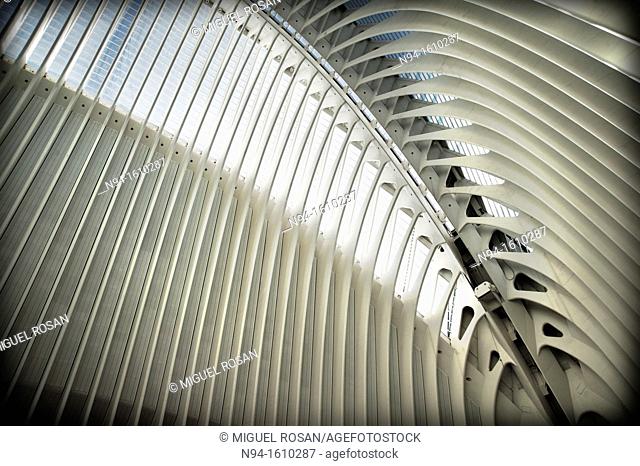 Interior view of the Agora building&#39;s roof of the City of Arts and Sciences of Valencia, Valencia, Spain