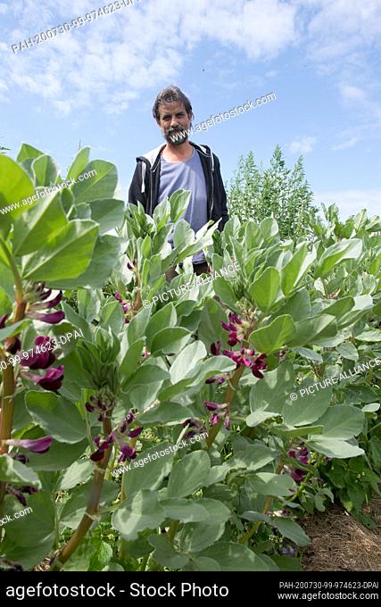 29 July 2020, Mecklenburg-Western Pomerania, Dorow: Gardener Olaf Schnelle is standing in the vegetable garden of the company ""Gärtnerei Schnelles Grünzeug""