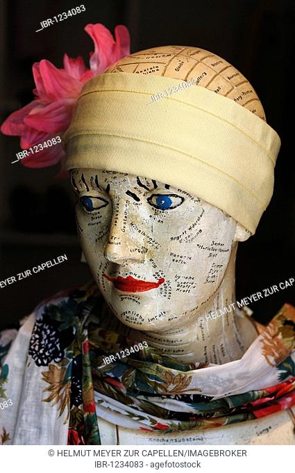 Study bust for the basic truths of life as a decoration for a hat shop, Erlangen, Middle Franconia, Bavaria, Germany, Europe