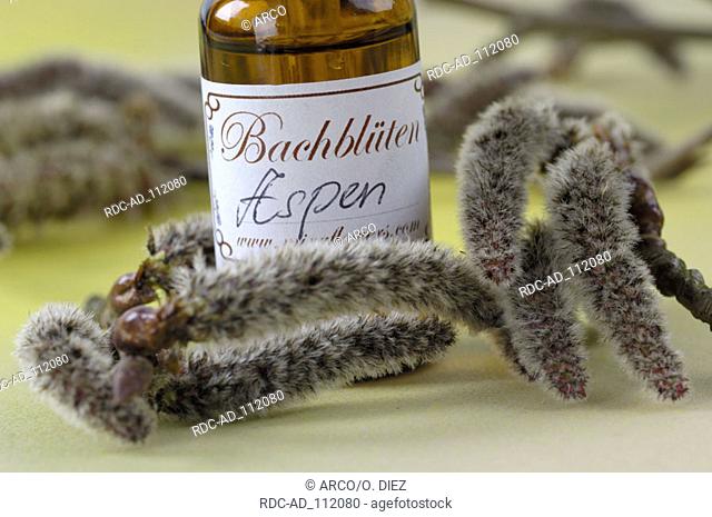 Bottle with Bach Flower Stock Remedy 'Aspen' Populus tremula