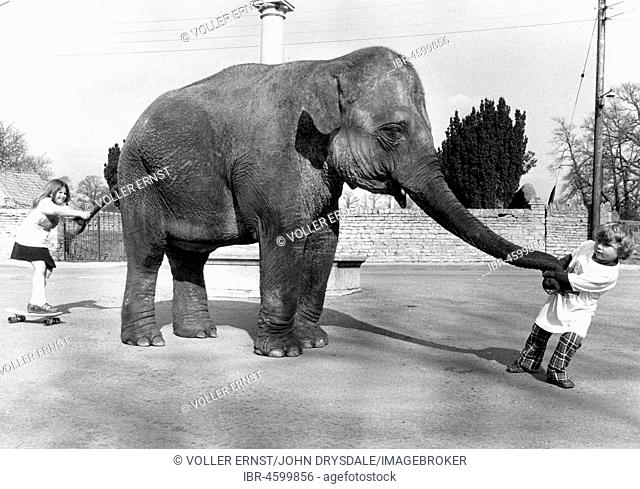 Children play with elephant, England, Great Britain