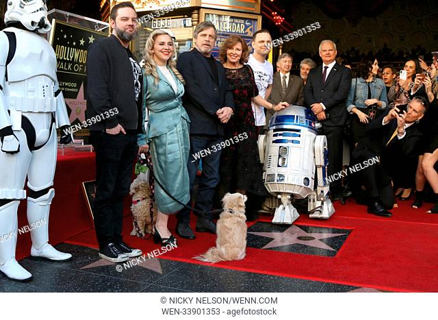 Mark Hamill's star ceremony on the Hollywood Walk of Fame on March 8, 2018 in Los Angeles, CA Featuring: Griffin Hamill, Chelsea Hamill, Mark Hamill