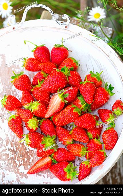 Erdbeeren frisch aus dem Garten auf einem alten Holztablett ausgebreitet. Frische kräftige Farben. Strawberries fresh from the garden, lying in a colander