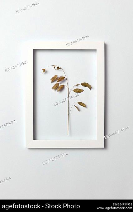 Herbal picture with natural green leaf branch in a regtangular frame on a light gray background, copy space. Flat lay. Greeting card