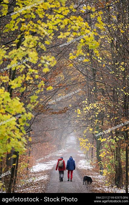 27 November 2023, Saxony, Dresden: Passers-by walk along a hiking trail in the Dresdner Heide forest. Photo: Sebastian Kahnert/dpa