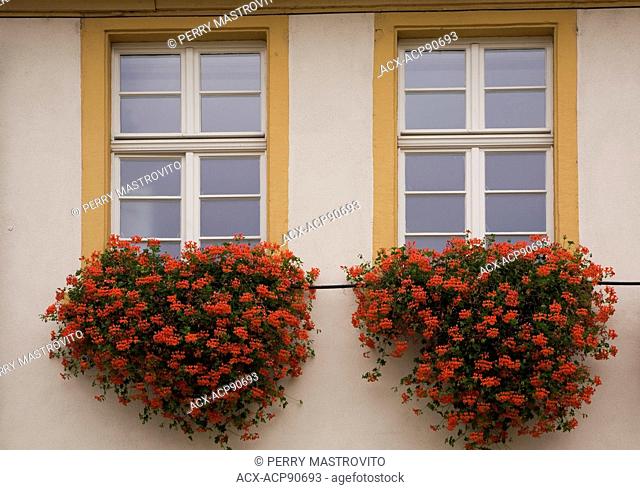 White with beige trim windows decorated with red geraniums in flower boxes on old architectural style building facade, Schwetzingen, Germany