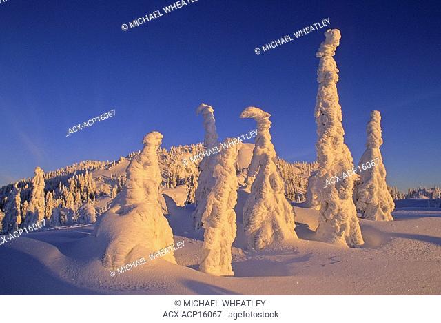 Ghost trees, snow, Mount Seymour Provincial Park, British Columbia, Canada
