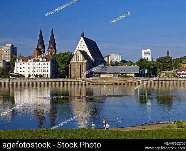 City view over the Oder with concert hall C. Ph. E. Bach and Friedenskirche, Frankfurt (Oder), Brandenburg, Germany