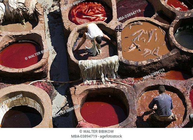 Morocco, Fes, Fes El Bali, tannery, color-basins, men, top view, no models district, Old Town, craft, tanners, release, city, colors, basins, leather