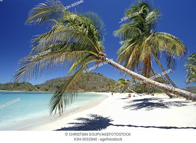 Mayreau, Grenadines islands, Saint Vincent and the Grenadines, Winward Islands, Lesser Antilles, Caribbean Sea