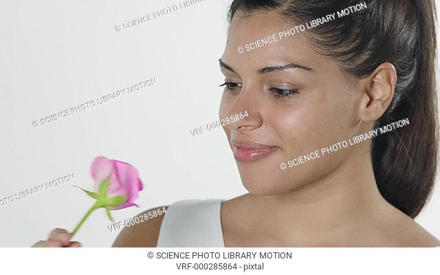 MODEL RELEASED. Woman smelling a pink rose
