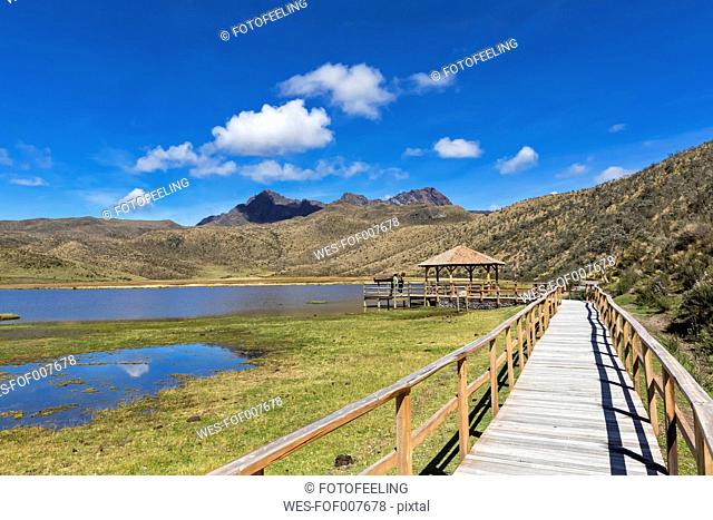South America, Ecuador, Cotopaxi National Park, Ruminawi Volcano, View to Limpiopungo lagoon