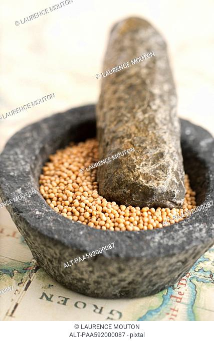 Peppercorns in mortar with pestle
