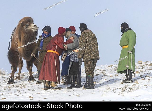 Asie, Mongolie, Ouest de la Mongolie, Montagnes de l'Altai, Village de Kanhman, course de chameaux de Bactriane dans la plaine / Asia, Mongolia, West Mongolia