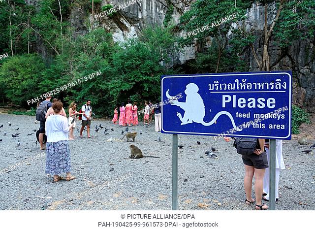 04 March 2019, Thailand, Takua Thung: Tourists feed macaque monkeys at a designated place at Wat Suwan Kuha, also called Wat Tham (""cave temple"")