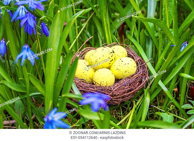 Easter eggs in yellow near flowers