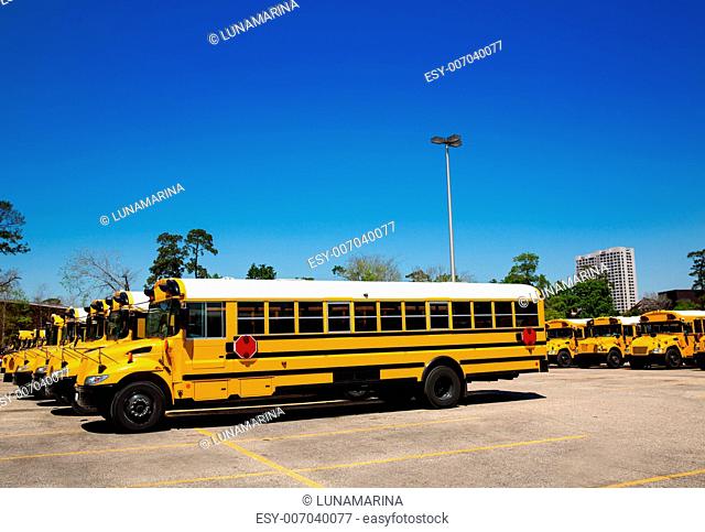 American typical school buses in a row in a parking lot