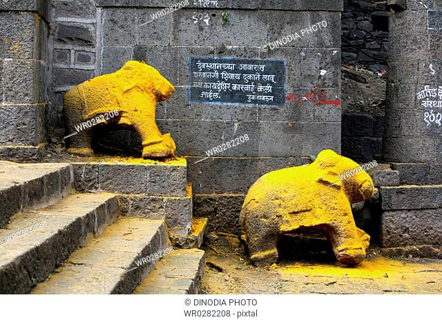 Statue of an elephant immersed in turmeric powder at the Jejuri temple , Pune , Maharashtra , India