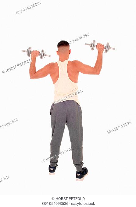 A young tall man standing from the back in his truck pants lifting up.two dumbbells, isolated for white background