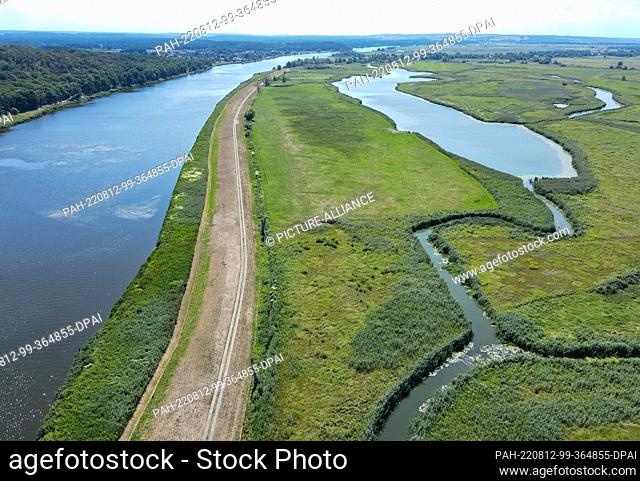 12 August 2022, Brandenburg, Schwedt: The German-Polish border river Oder (l) and the polder area (r) in the Lower Oder Valley National Park north of the city...