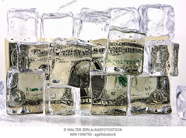 Dollar and ice cubes