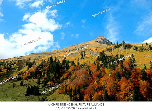 Autumn near Hinterriss (15. Oct.2019) | usage worldwide. - Hinterriss/Tirol/Austria