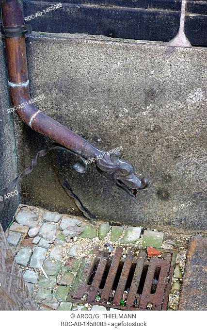 rain water downpipe, cathedral St Mary, Freiberg, City of Silver, Saxony, Germany