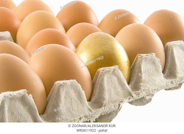 One golden and many ordinary fresh rural eggs packed into cardboard container isolated over white background