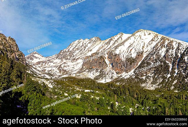 Winter scenery in Slovakia - coniferous trees with Patria peak in Tatras mountains range at distance