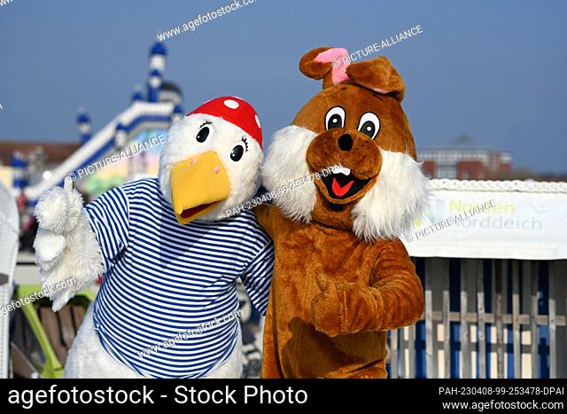 08 April 2023, Lower Saxony, Norddeich: The Easter bunny and Okka the seagull, the mascot of the spa administration, stand together on the beach