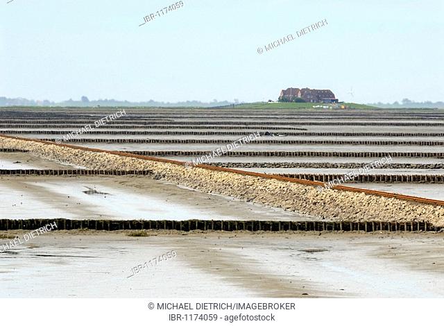 View over mud flats at low tide, the groyne and the Lorendamm dam leading to Hallig Nordstrandischmoor, Schleswig-Holstein Wadden Sea National Park