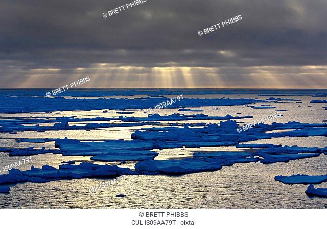 Ice floe in the Southern Ocean, 180 miles north of East Antarctica, Antarctica