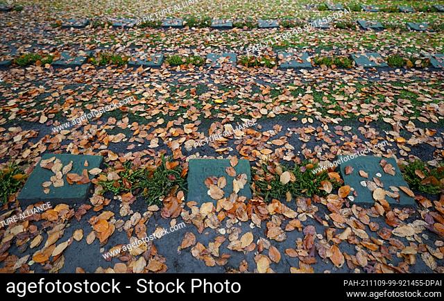 04 November 2021, Hamburg: War graves can be seen at the Ohlsdorf cemetery. Photo: Marcus Brandt/dpa. - Hamburg/Hamburg/Germany