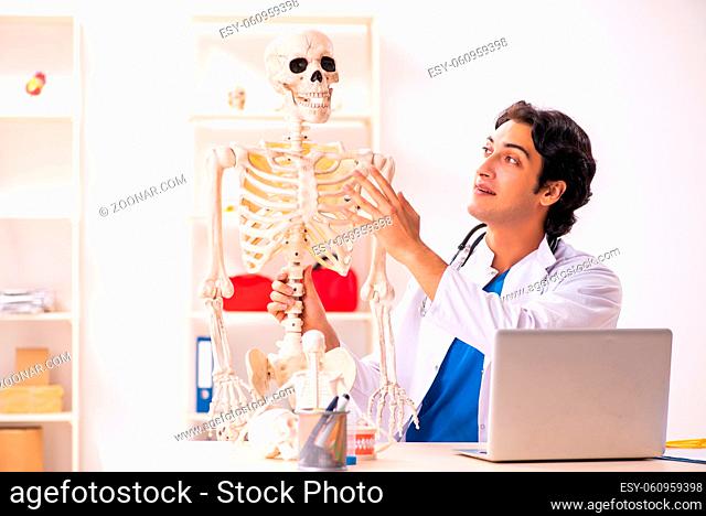 Young male doctor with skeleton