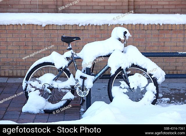 USA, Colorado, Bicycle covered in wet, heavy snow after blizzard