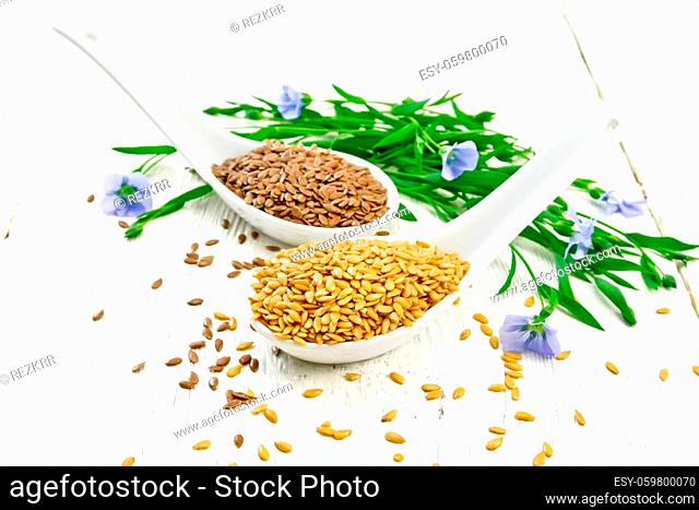Linen seeds white and brown in two spoons, stalks of flax with blue flowers and leaves on a white wooden board background
