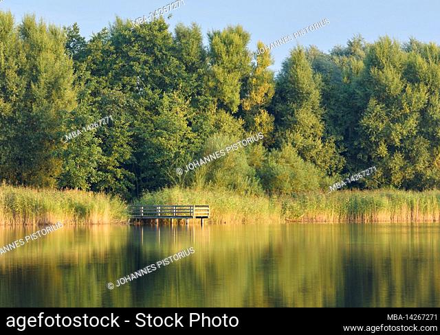 Europe, Germany, Lower Saxony, Otterndorf. Lake Achtern Diek in the morning light