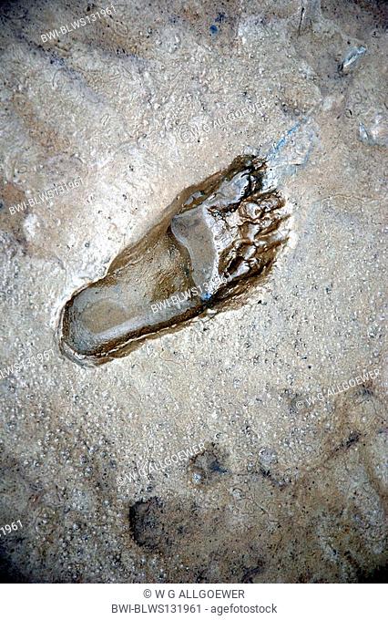 footprint in the wadden sea, Germany