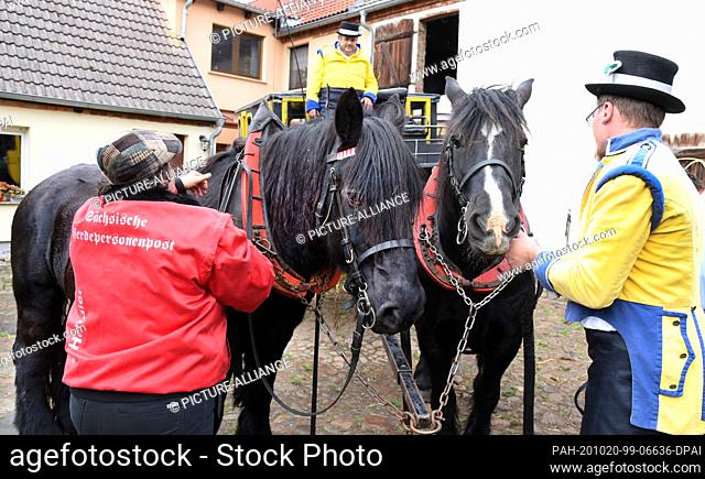 10 October 2020, Saxony, Bad Düben: Before leaving by stagecoach, Landauer and vis-a-vis coach, the horses are harnessed up on the farm of Siegfried Händler and...