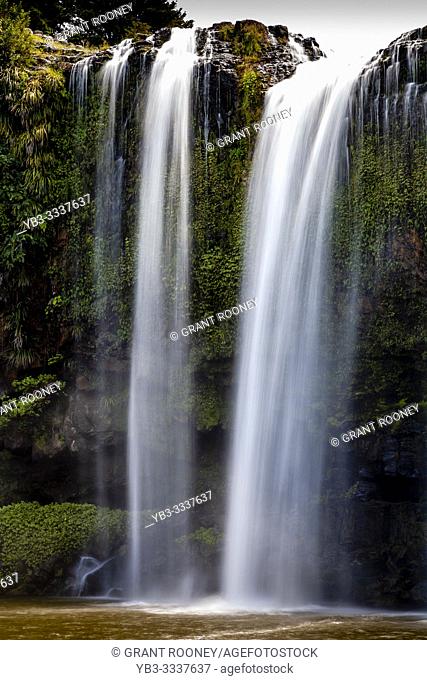 Whangarei Falls, Whangarei, North Island, New Zealand