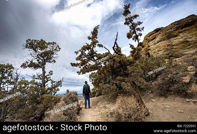 Young man on hiking trail, looking into the distance, canyon with rock formations, Smith Rock State Park, Oregon, USA, North America