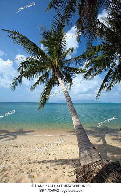 Beach, Hat, Lamai, Koh Samui, Surat Thani Province, Thailand, Asia