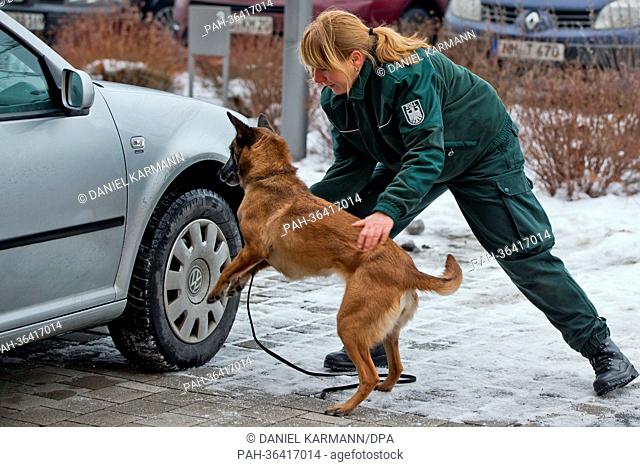 Customs officer Grit Wenzel and her dog Elli perform the search for Crystal Speed outside the chief customs office in Nuremberg, Germany, 24 January 2013