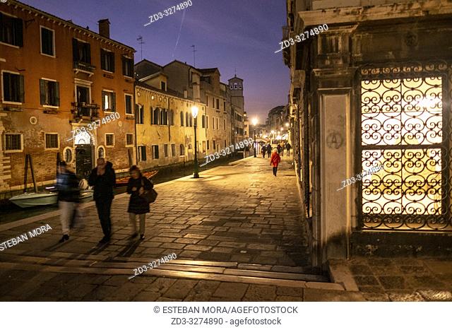 night view of a venetian canal
