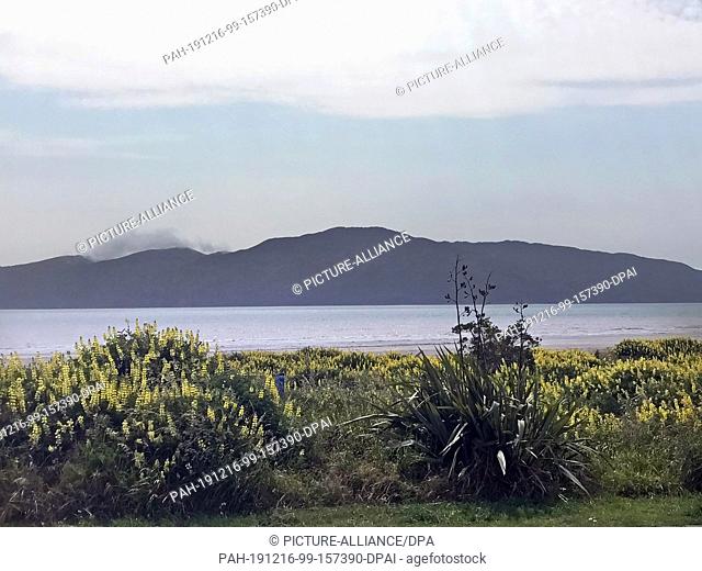 26 November 2019, New Zealand, Kapiti: Landscape photograph taken on the New Zealand island of Kapiti. On the island, the kiwi has had no natural enemies for...