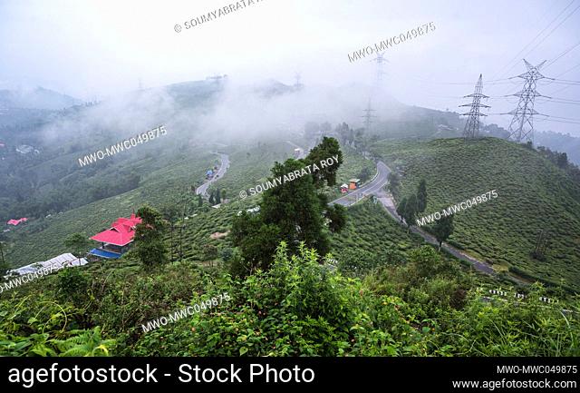 Mirik valley is covered in tea bushes throughout the year. Female tea pluckers pluck tea leaves during monsoon cloudy mornings in the little town of North...