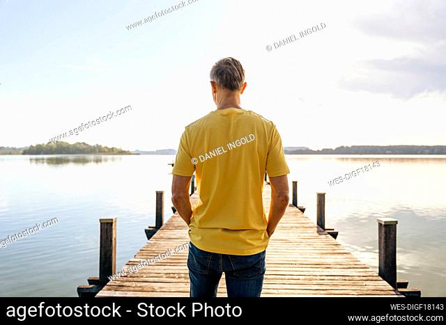 Mature man looking at view from pier