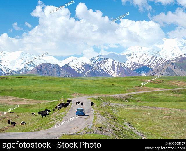The road to Kyzyl Art mountain pass to Tajikistan. The Alaj valley with the Transalai mountains in the background. The Pamir Mountains, Asia, Central Asia