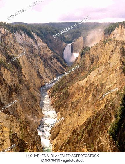 Lower Falls, Yellowstone river. Grand Canyon of the Yellowstone. Yellowstone National Park. Park County. Wyoming. USA